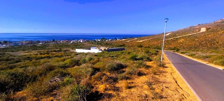 0 Bedroom Property for Sale in Steenbergs Cove Western Cape